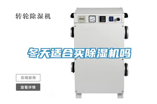 冬天適合買(mǎi)除濕機嗎