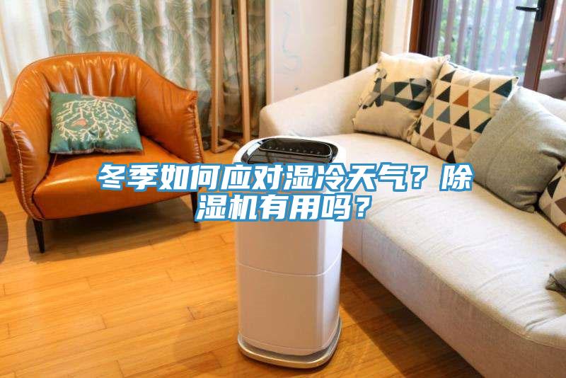 冬季如何應對濕冷天氣？除濕機有用嗎？