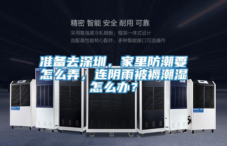 準備去深圳，家里防潮要怎么弄，連陰雨被褥潮濕怎么辦？