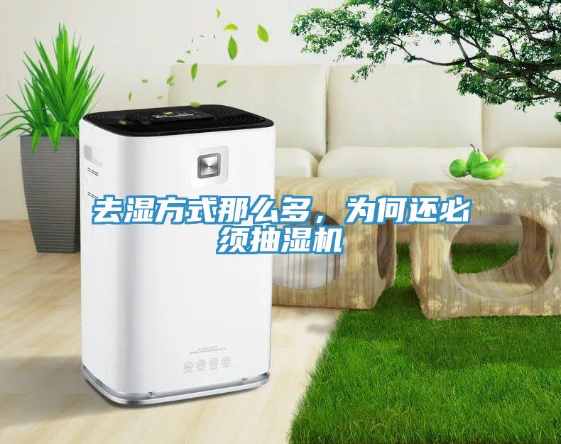 去濕方式那么多，為何還必須抽濕機