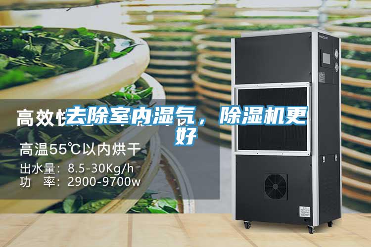 去除室內濕氣，除濕機更好