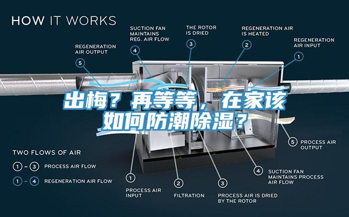 出梅？再等等，在家該如何防潮除濕？