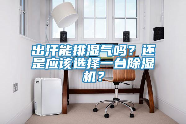 出汗能排濕氣嗎？還是應該選擇一臺除濕機？