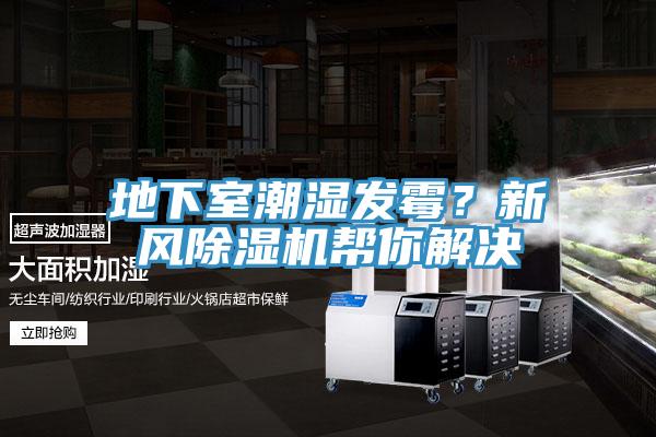 地下室潮濕發(fā)霉？新風(fēng)除濕機幫你解決