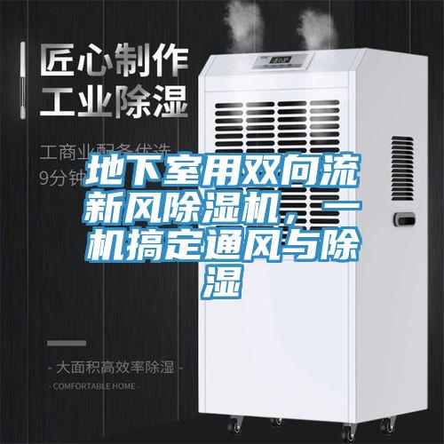 地下室用雙向流新風(fēng)除濕機，一機搞定通風(fēng)與除濕