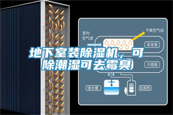 地下室裝除濕機，可除潮濕可去霉臭
