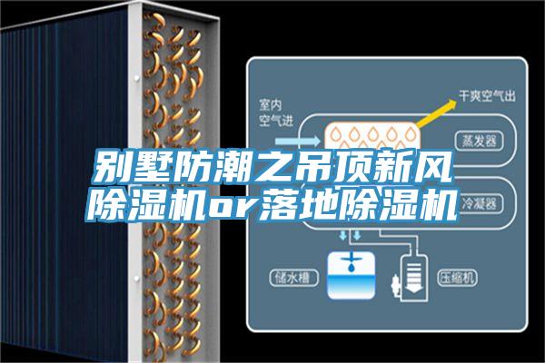 別墅防潮之吊頂新風(fēng)除濕機or落地除濕機