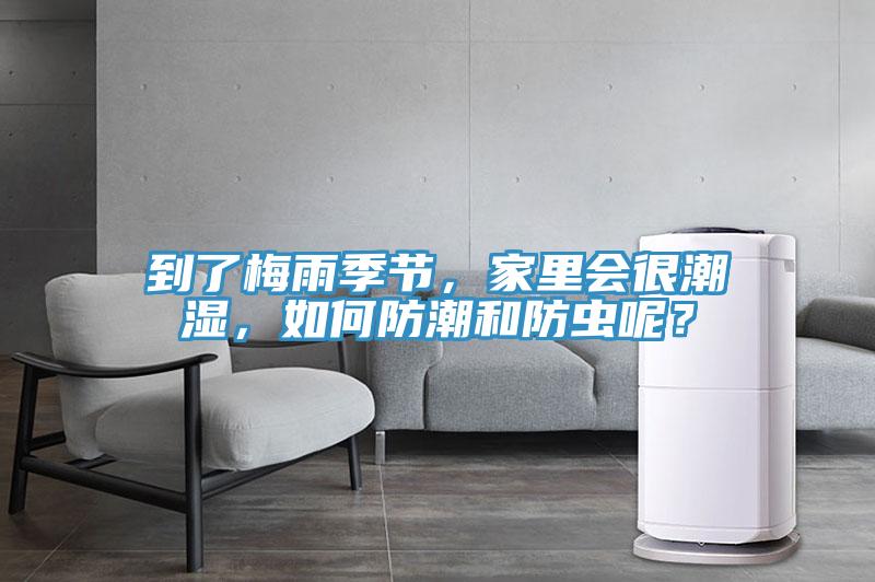 到了梅雨季節，家里會(huì )很潮濕，如何防潮和防蟲(chóng)呢？