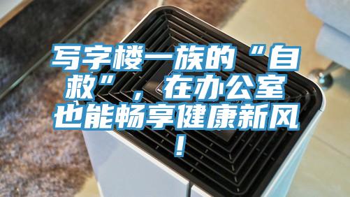 寫(xiě)字樓一族的“自救”，在辦公室也能暢享健康新風(fēng)！