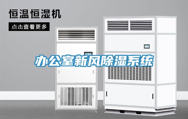 辦公室新風(fēng)除濕系統