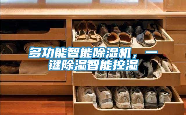 多功能智能除濕機，一鍵除濕智能控濕