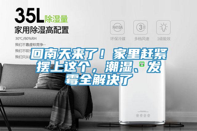 回南天來(lái)了！家里趕緊擺上這個(gè)，潮濕、發(fā)霉全解決了
